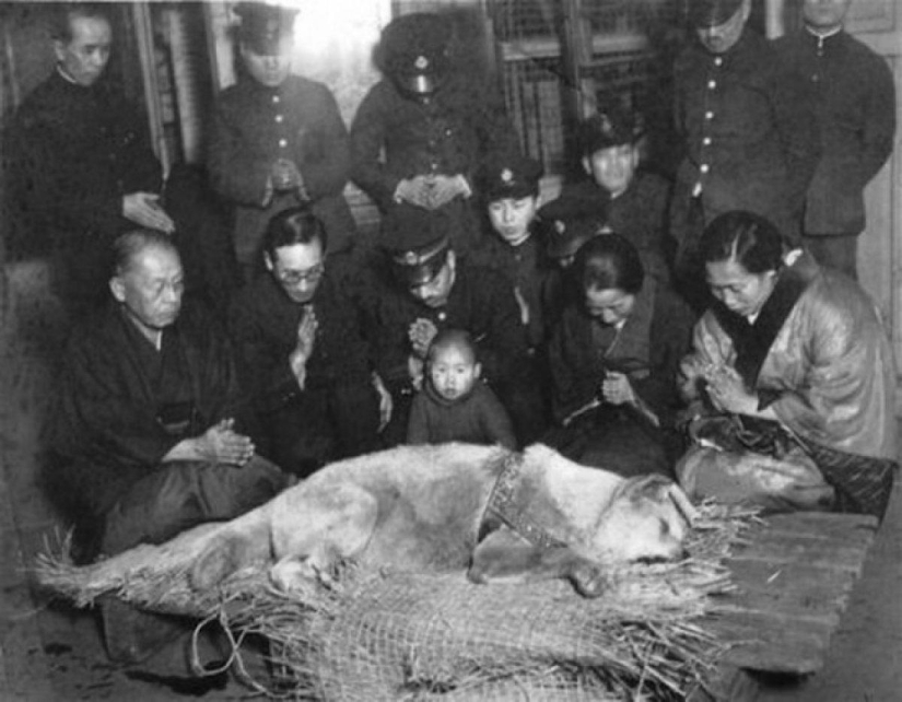 45 photos that will change your view of the past