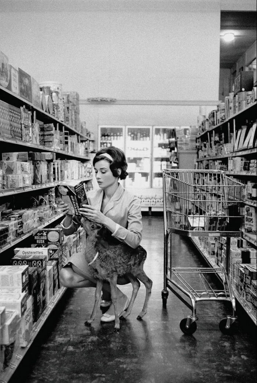 45 photos that will change your view of the past