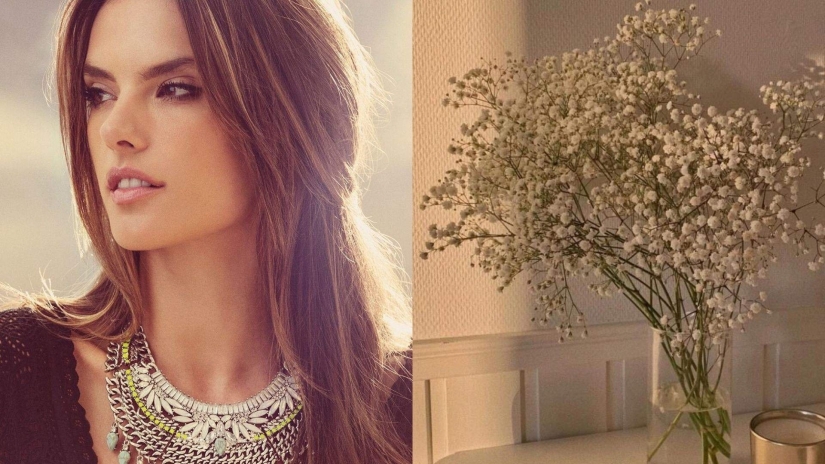 5 beauty hacks from famous Hollywood beauties that you should take note of