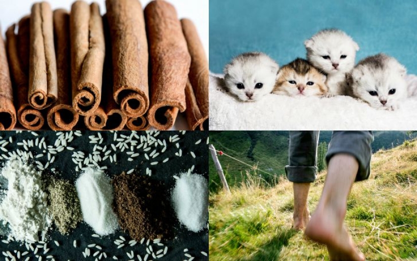 5 formas inesperadas de hacerte sentir bien 5 formas inesperadas de hacerte sentir bien