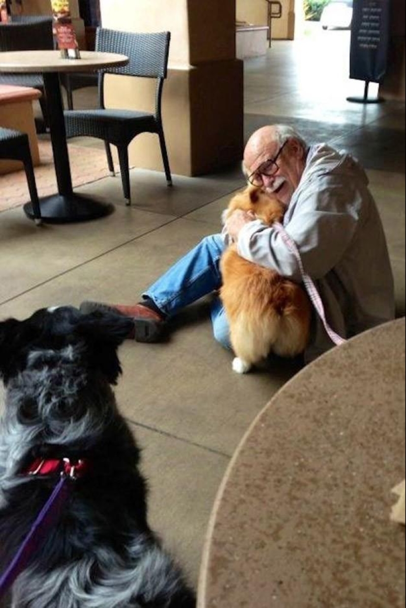 50 fotos de animales que debes ver