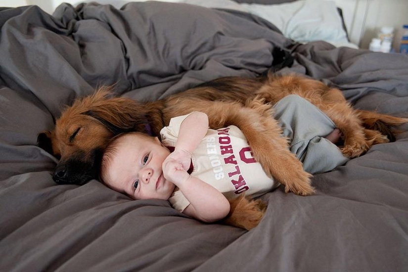 50 fotos de animales que debes ver
