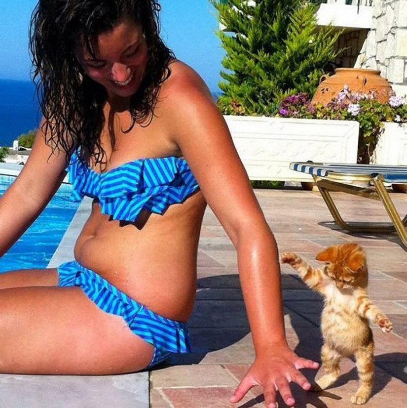 50 fotos de animales que debes ver