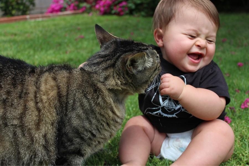 50 fotos de animales que debes ver