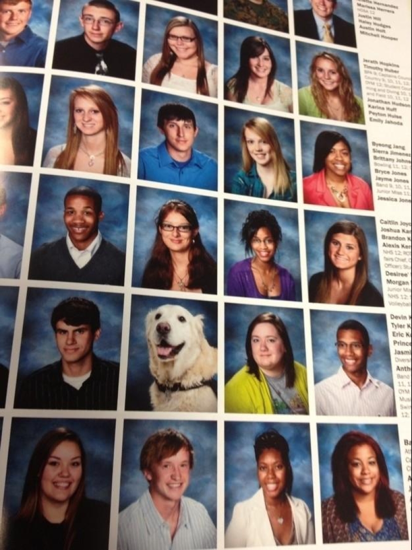 50 fotos de animales que debes ver
