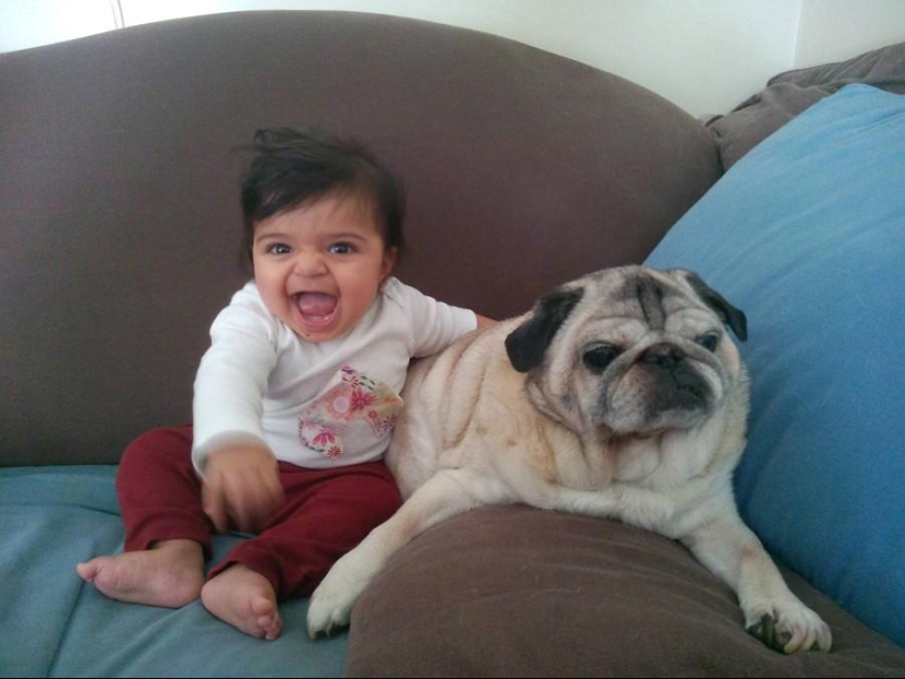 50 fotos de animales que debes ver
