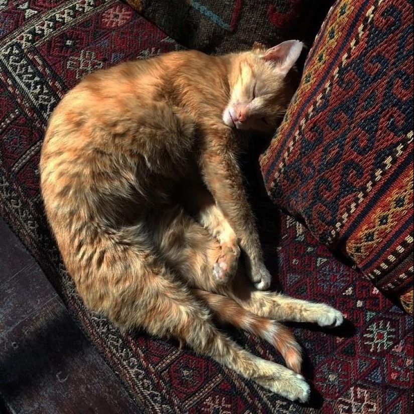 50 Instagram photos from Afghanistan 50 Instagram photos from Afghanistan