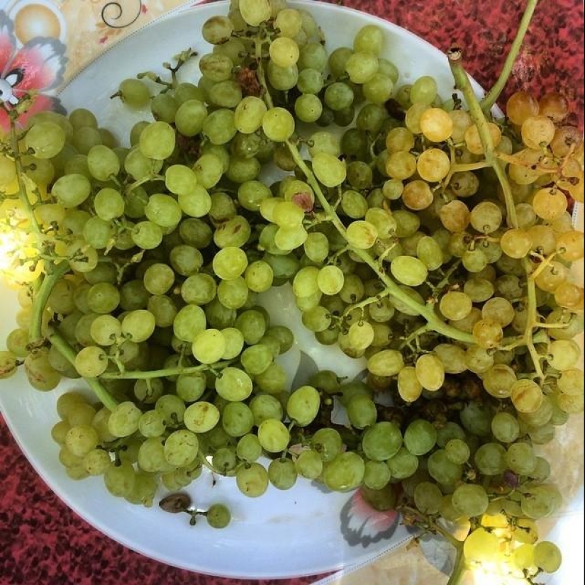 50 Instagram photos from Afghanistan 50 Instagram photos from Afghanistan