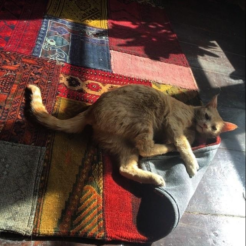 50 Instagram photos from Afghanistan 50 Instagram photos from Afghanistan