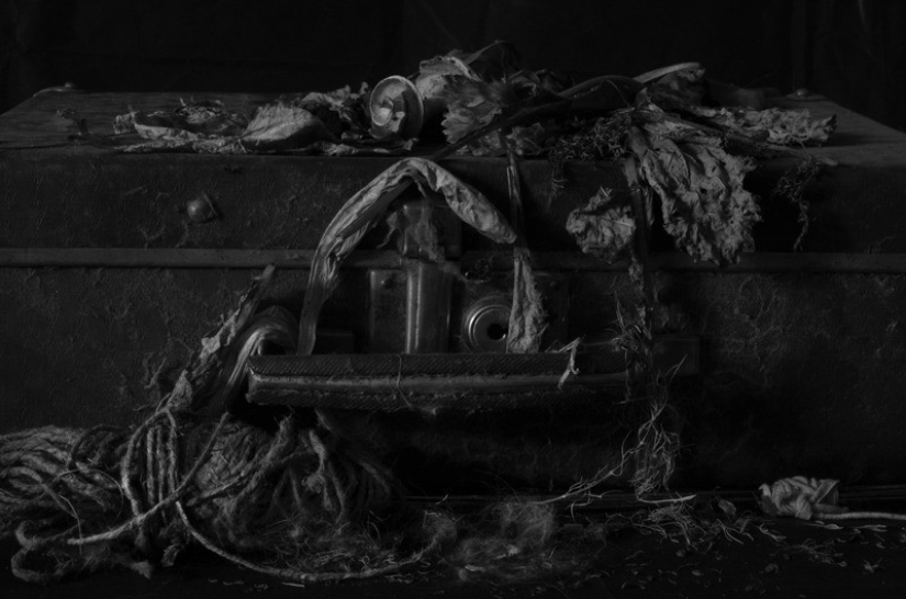 55 fotos para el 55 aniversario de Sergey Osmachkin - el mejor fotógrafo de Samara 55 fotos para el 55 aniversario de Sergey Osmachkin - el mejor fotógrafo de Samara