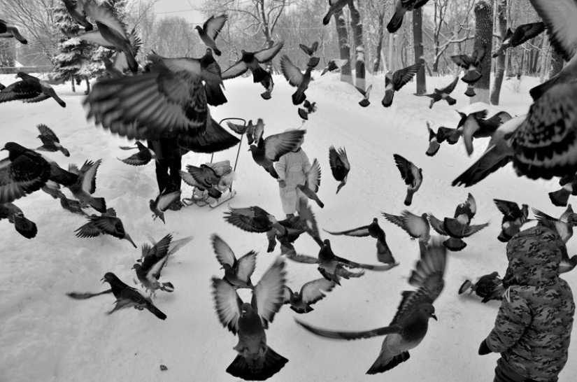 55 fotos para el 55 aniversario de Sergey Osmachkin - el mejor fotógrafo de Samara 55 fotos para el 55 aniversario de Sergey Osmachkin - el mejor fotógrafo de Samara