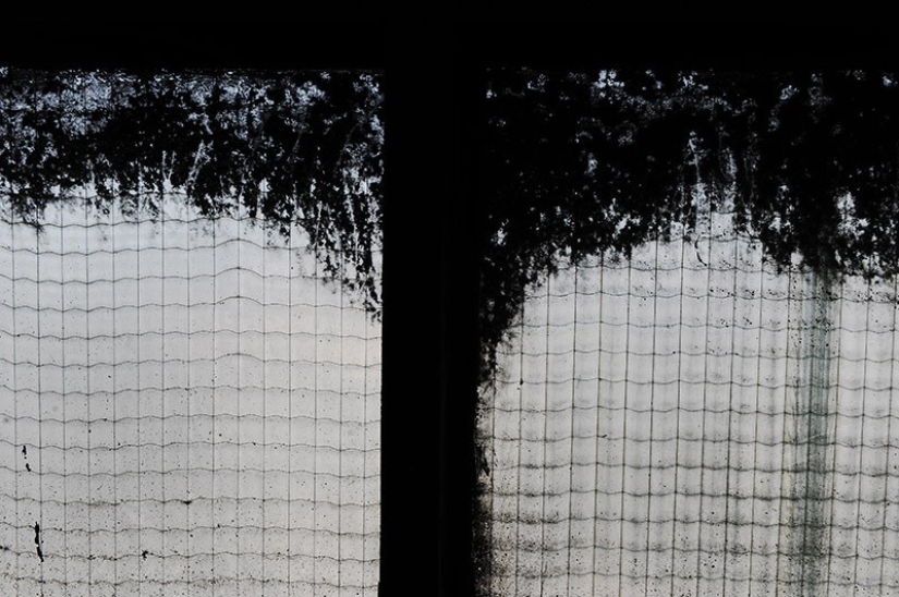 55 photos for the 55th anniversary of Sergey Osmachkin - the best Samara photographer 55 photos for the 55th anniversary of Sergey Osmachkin - the best Samara photographer