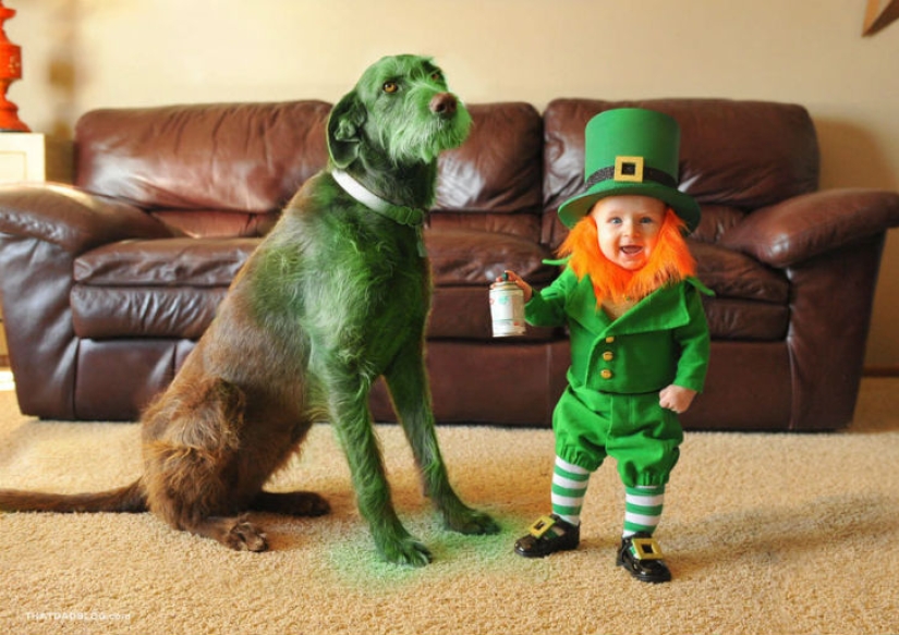 6-month-old leprechaun rages in Utah