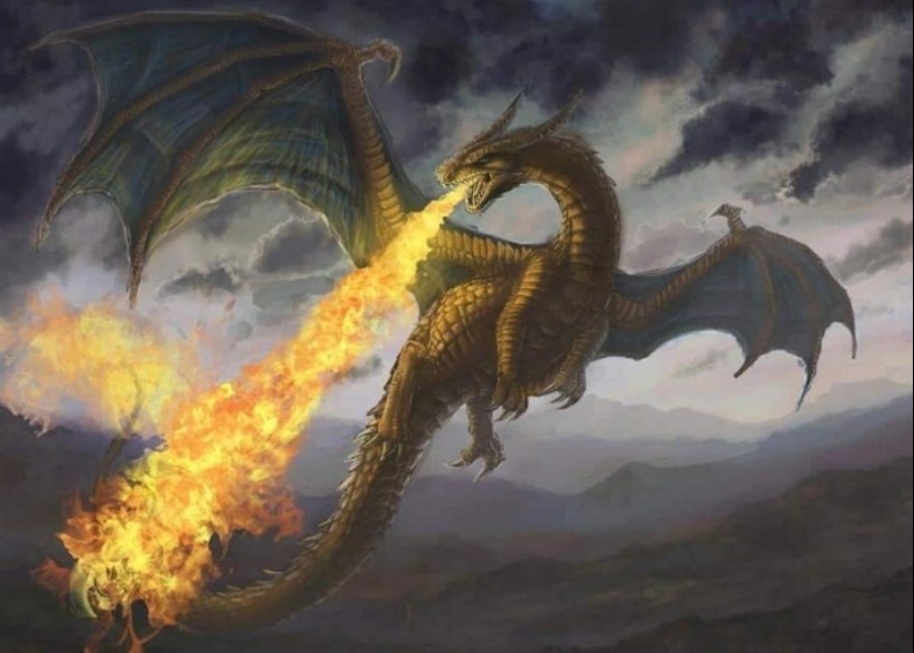 6 types of dragons that exist in real life 6 types of dragons that exist in real life