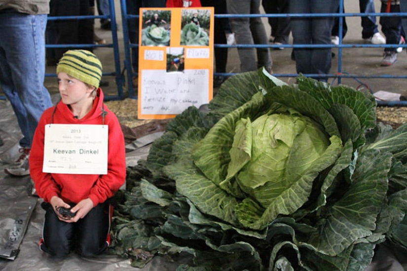 7 poseedores de récords de vegetales gigantes 7 poseedores de récords de vegetales gigantes