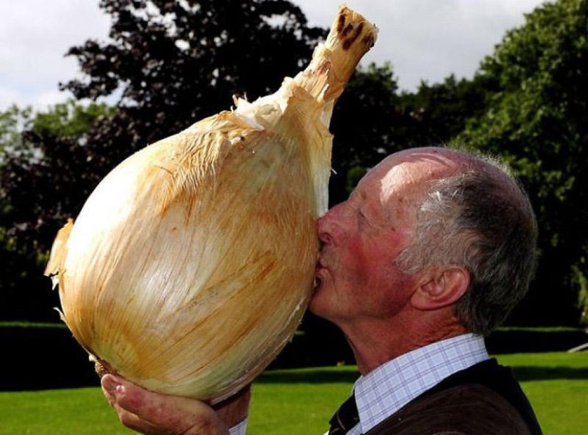 7 poseedores de récords de vegetales gigantes 7 poseedores de récords de vegetales gigantes