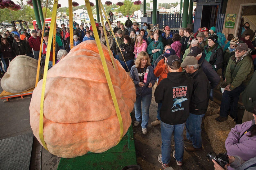 7 poseedores de récords de vegetales gigantes 7 poseedores de récords de vegetales gigantes