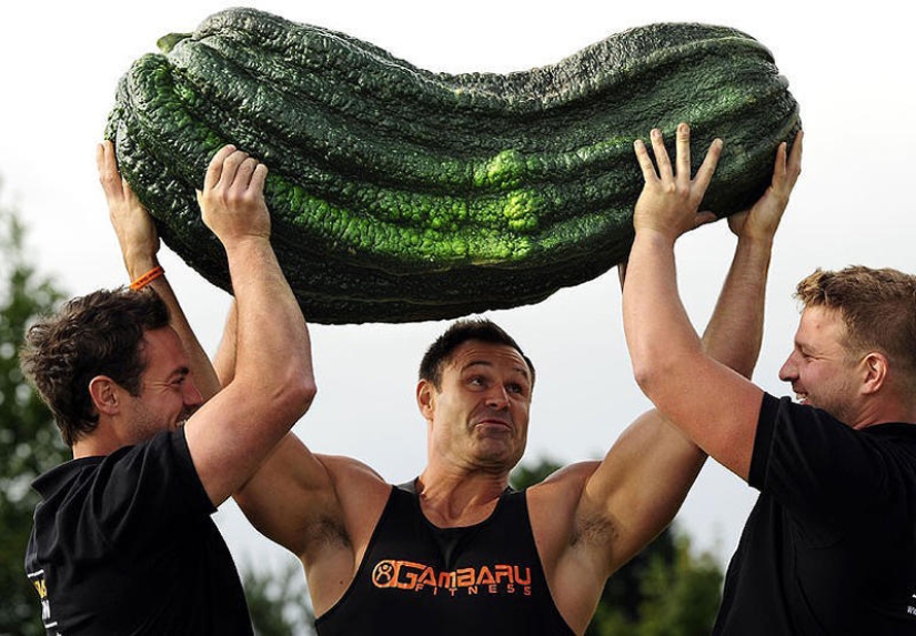 7 poseedores de récords de vegetales gigantes 7 poseedores de récords de vegetales gigantes