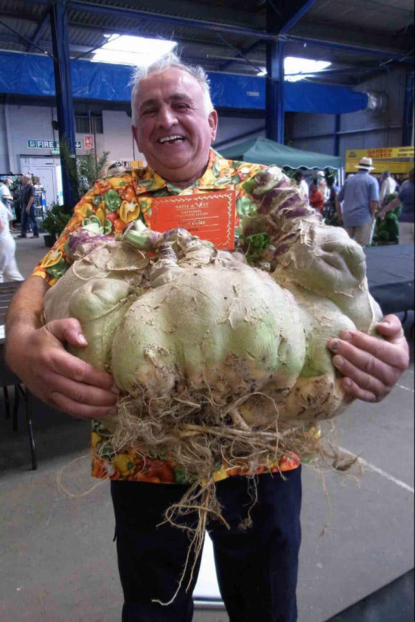 7 poseedores de récords de vegetales gigantes 7 poseedores de récords de vegetales gigantes