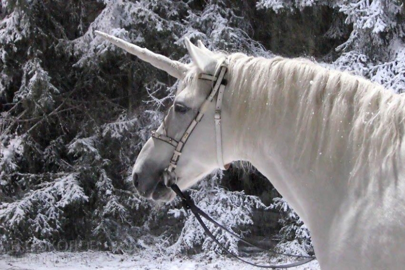 8 datos sobre Corea del Norte que te sorprenderán 8 datos sobre Corea del Norte que te sorprenderán