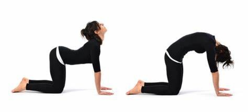 8 Yoga Poses for Your Best Sleep 8 Yoga Poses for Your Best Sleep
