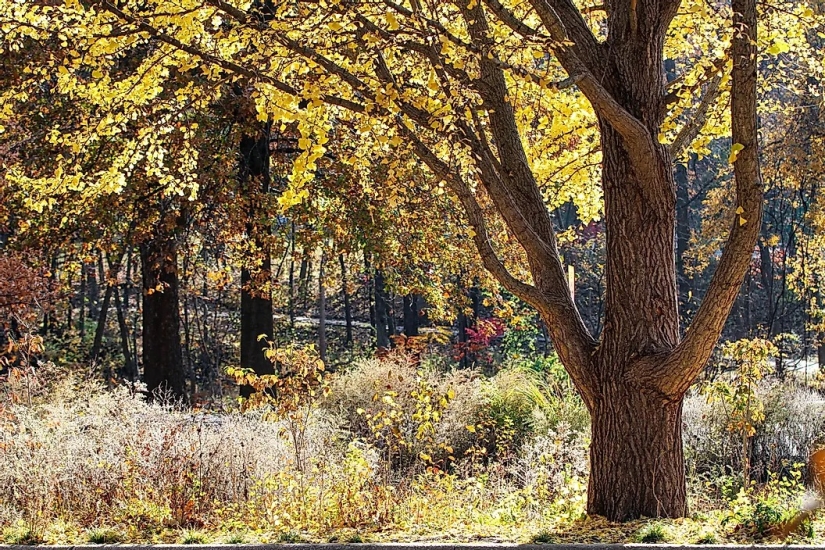 9 Best Hikes In Kansas