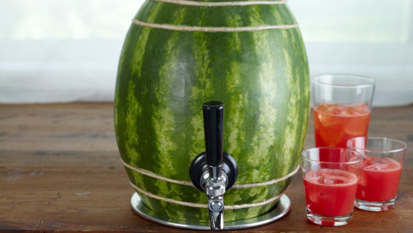 9 Best Picnic Inventions