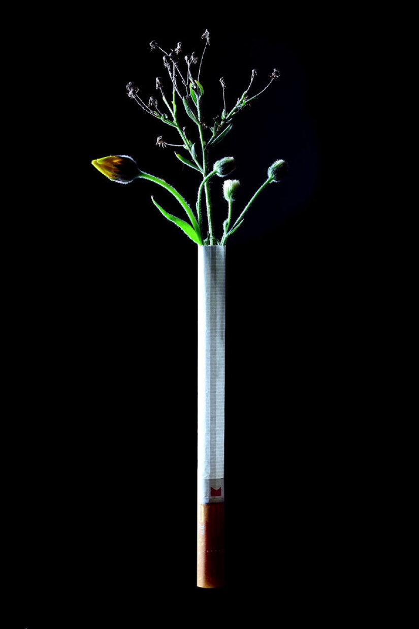 9 Photos That Helped Me Quit Smoking