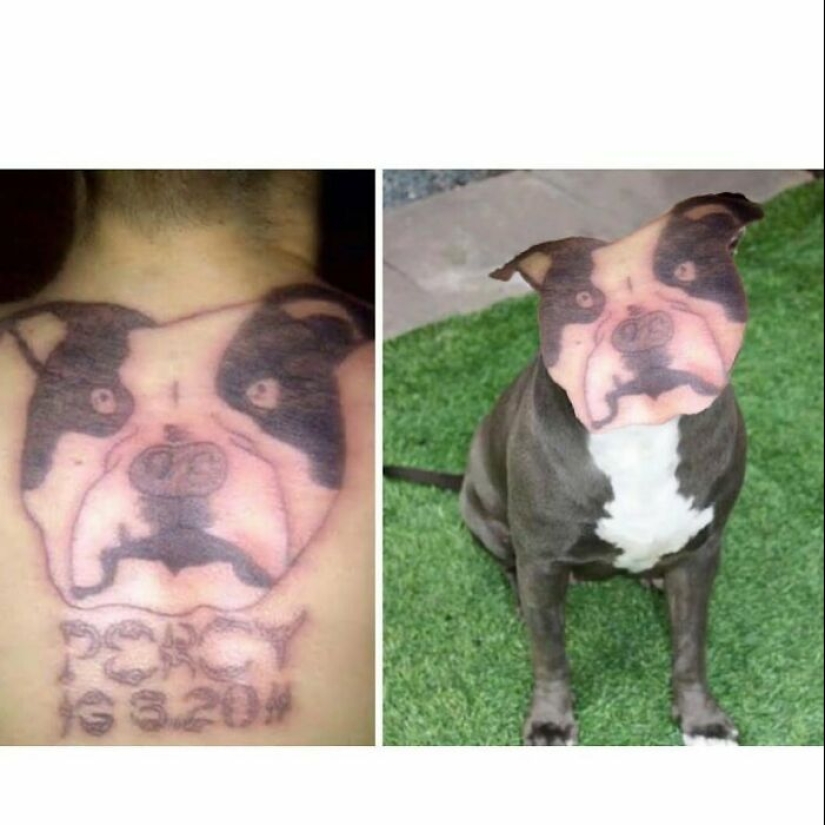 9 tatuajes hilarantemente incómodos que enseñaron valiosas lecciones de tinta (Parte 2)