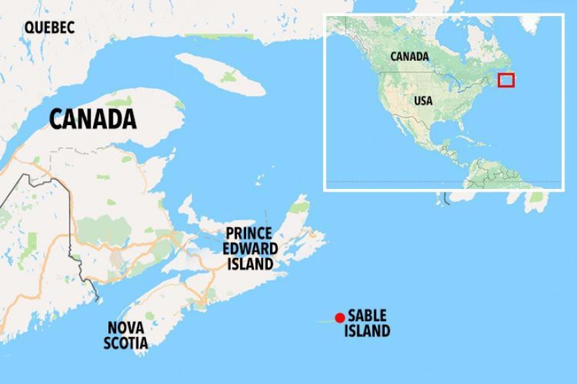 A 67-year-old woman has been living alone on a remote island for 40 years A 67-year-old woman has been living alone on a remote island for 40 years