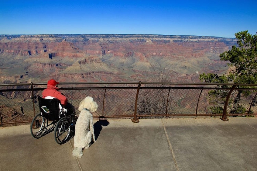 A 91-year-old grandmother who refused cancer treatment and chose to travel has died