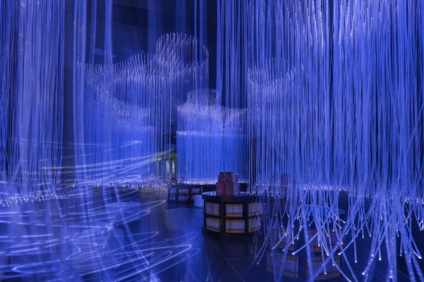 A bookstore of the future with a fantastic design has opened in China