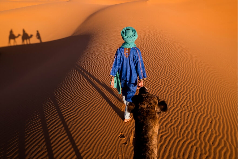 A Burst Of Colors: 15 Captivating Images That Won The 27th Edition Of AAP Magazine Photography Awards A Burst Of Colors: 15 Captivating Images That Won The 27th Edition Of AAP Magazine Photography Awards