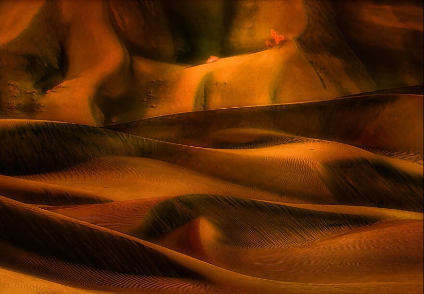 A Burst Of Colors: 15 Captivating Images That Won The 27th Edition Of AAP Magazine Photography Awards A Burst Of Colors: 15 Captivating Images That Won The 27th Edition Of AAP Magazine Photography Awards