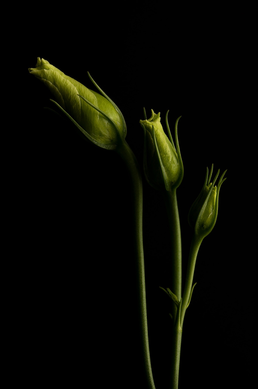 A Burst Of Colors: 15 Captivating Images That Won The 27th Edition Of AAP Magazine Photography Awards A Burst Of Colors: 15 Captivating Images That Won The 27th Edition Of AAP Magazine Photography Awards