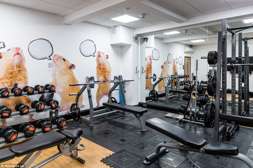 A businessman has remodeled his castle in the UK to turn it into the best office in the country