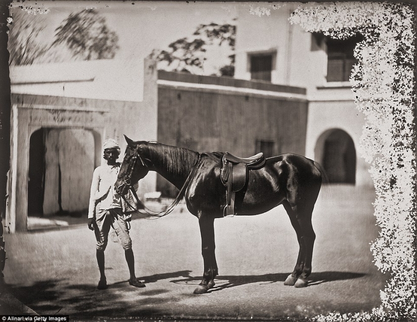 A collection of photographs of the Indian Maharaja's harem that has remained untouched for more than a century A collection of photographs of the Indian Maharaja's harem that has remained untouched for more than a century