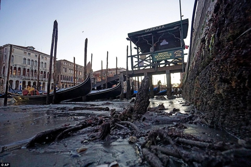 A dónde va el agua de los canales de Venecia A dónde va el agua de los canales de Venecia