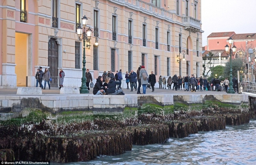 A dónde va el agua de los canales de Venecia A dónde va el agua de los canales de Venecia
