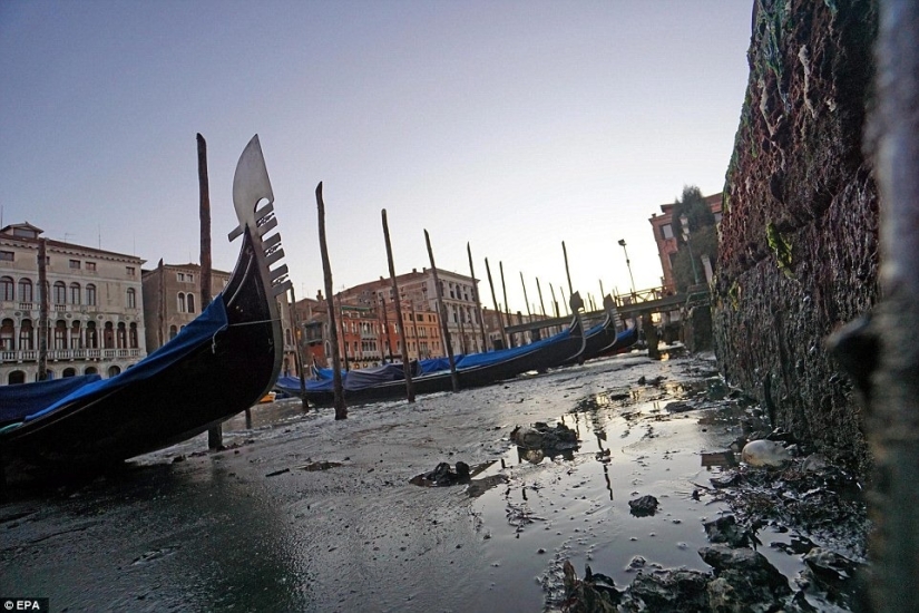 A dónde va el agua de los canales de Venecia A dónde va el agua de los canales de Venecia