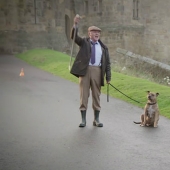 A dog that has not attracted 18 thousand visitors to the shelter for 6 years has become a movie star A dog that has not attracted 18 thousand visitors to the shelter for 6 years has become a movie star