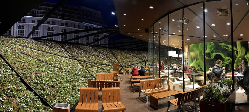 A futuristic McDonald&#39;s was built in Batumi
