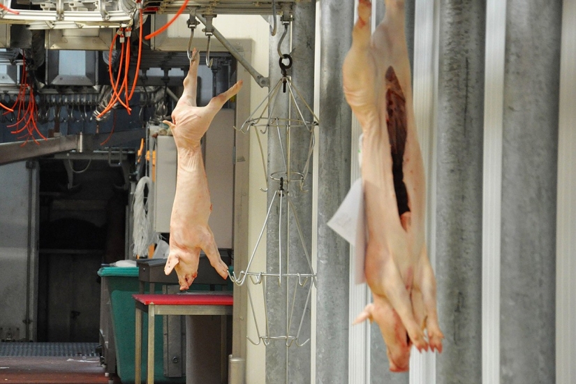 A giant market where the best French chefs shop