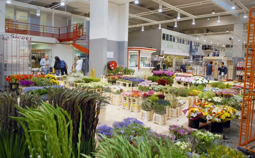 A giant market where the best French chefs shop