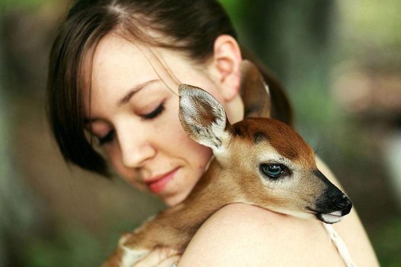 A girl and her deer - the story of an unusual pet A girl and her deer - the story of an unusual pet