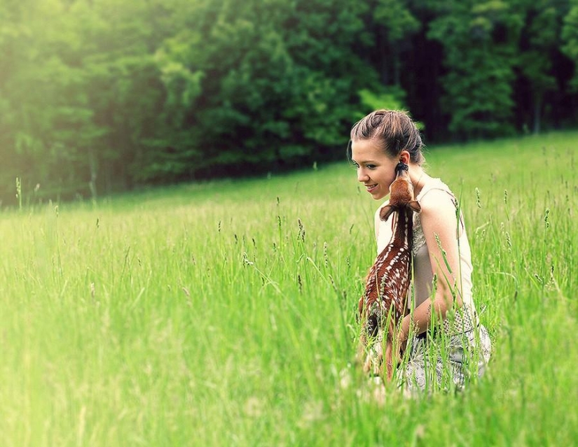 A girl and her deer - the story of an unusual pet A girl and her deer - the story of an unusual pet