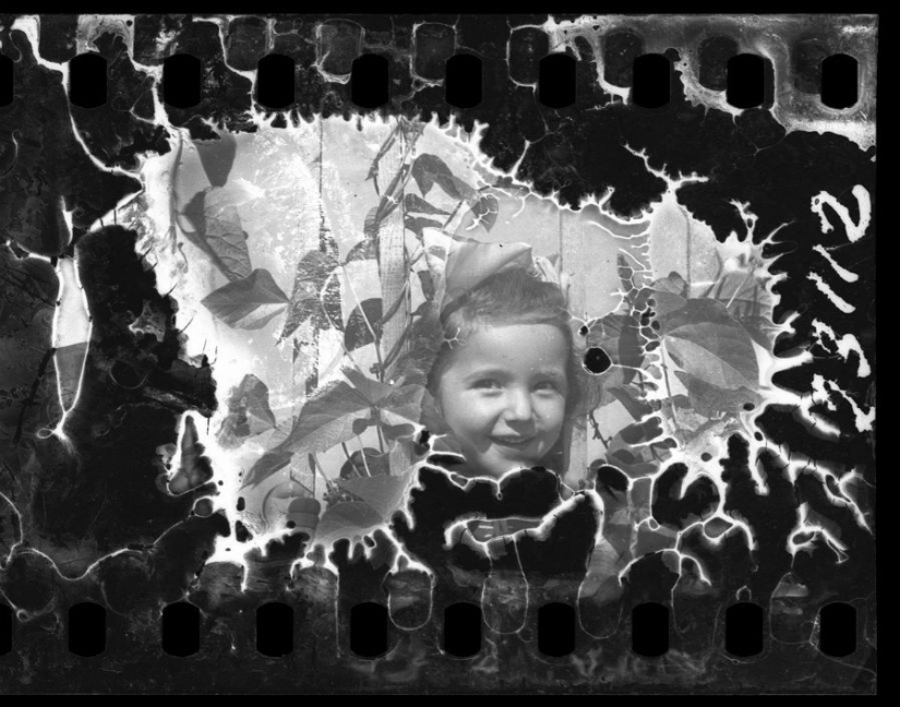 A Jewish photographer captured life in a ghetto in occupied Poland at his own risk