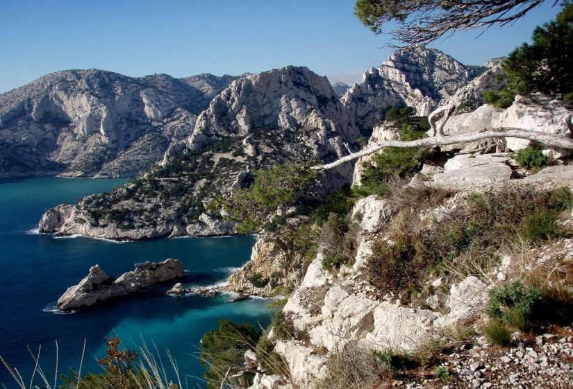 A journey through the most fragrant region of France