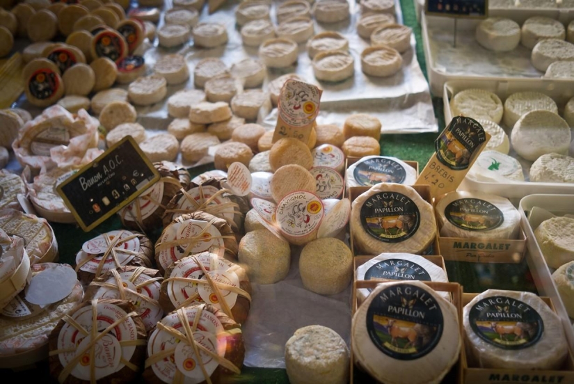 A journey through the most fragrant region of France
