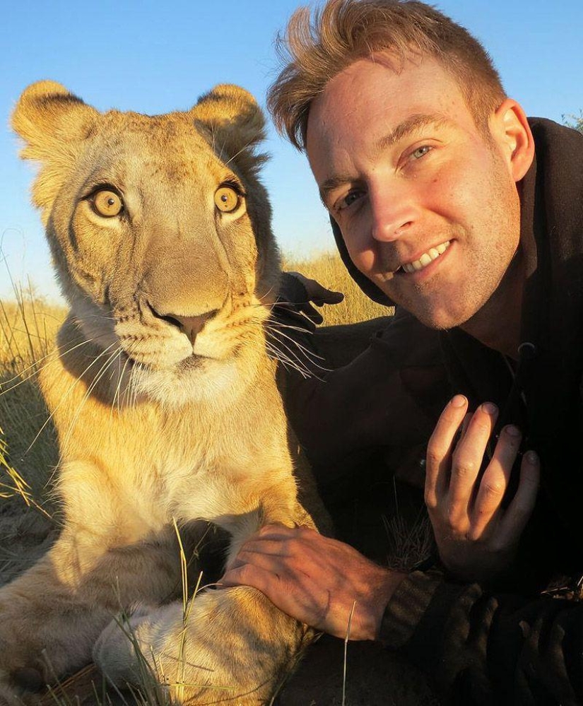A lioness named Sirga